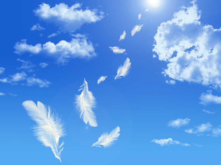 ご宗門ごとの亡くなった方への表現と慣習についてのアイキャッチ画像